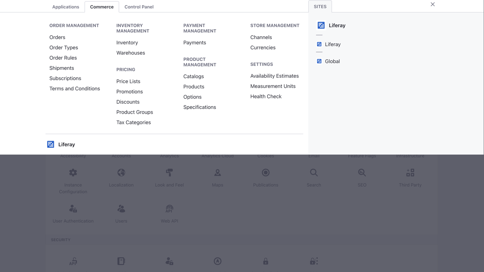 Liferay Control Panel